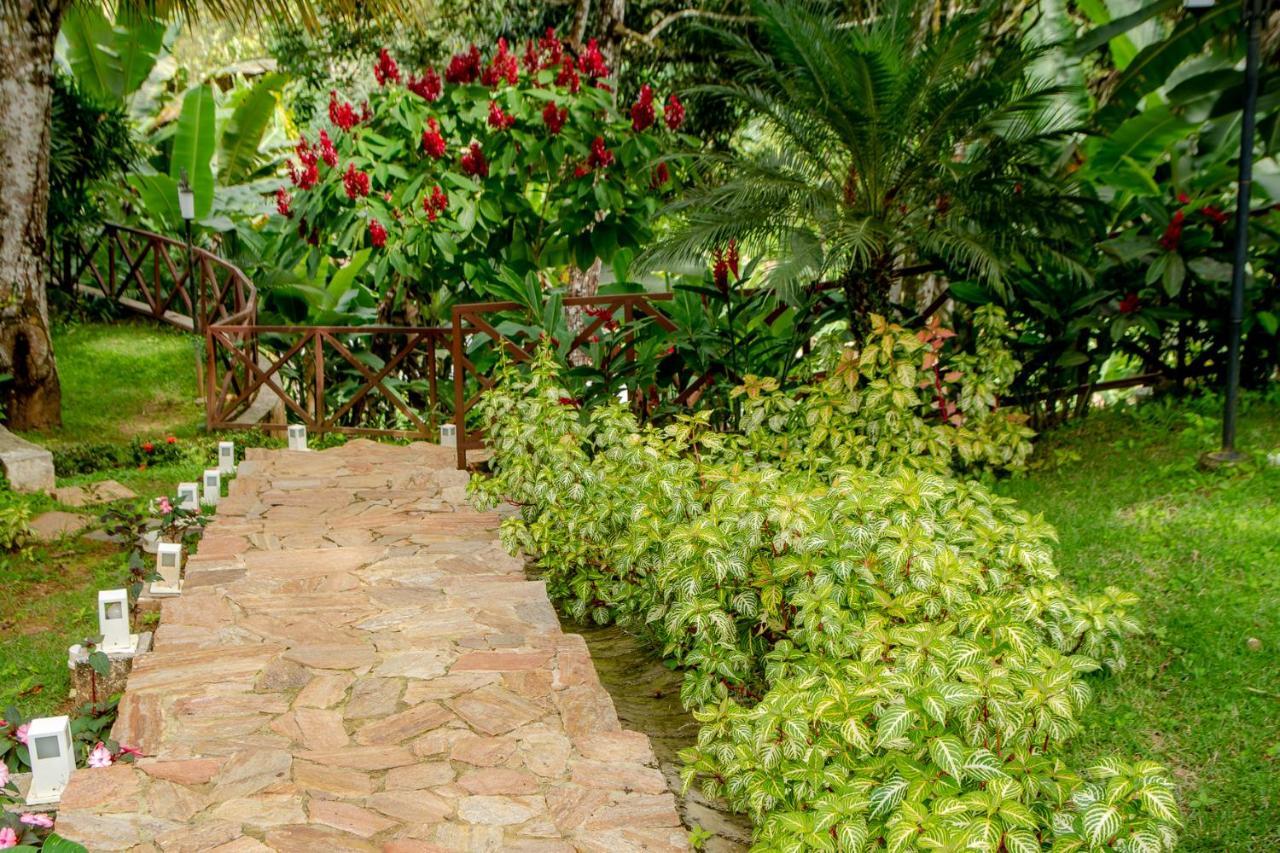 Hotel Cantinho Das Flores Guaramiranga Exteriör bild
